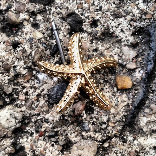 Street starfish!