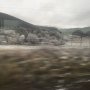 All snowy in Scottieland