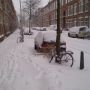 Schilderswijk. Ook wit.