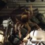 Spiders! Old Sacramento