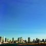 お台場の青空！ピクニック行きたいw スカイツリーも見える！