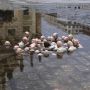 Dit werk van Issac Cordal blijft maar rondspoken in mijn hoofd. Heerlijk verontrustende kunst. (Via @baschz) #politiciansdiscussingglobalwarming