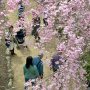 【石岡市・常陸風土記の丘】時間が経つにしたがって加速度的にお客さんも増えてきたｗ 