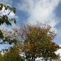 tussen de buien door... #zon #lucht #wolken #natuur