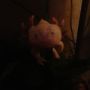 Its axolotl time!