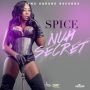 SPICE - NUH SECRET (VICKI SECRET RIDDIM) - SINGLE #ITUNES 5/12/15 @spiceofficial @TimeSquareEnt