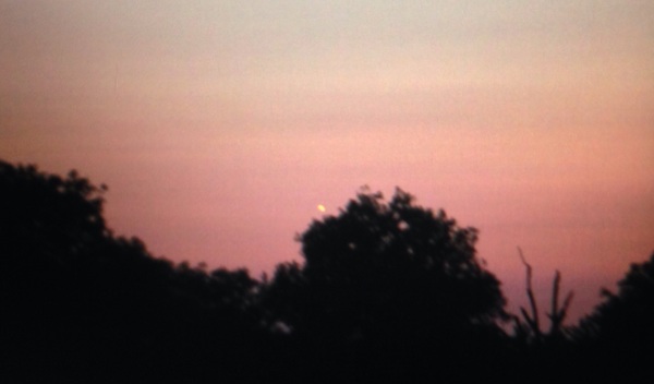 Venus was vanavond tot +/- 22:45 zichtbaar in het Westen 