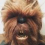Bumped into this life sized wookie in @jonlevytlb's house yesterday.