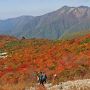 姥ヶ平の紅葉 今年は今週末あたりから見頃期に突入となりそうです