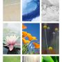 Nieuwe wallpapers in GM: 