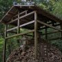 【筑波山】白蛇弁天 ここに住んでいる白蛇を見たものはお金持ちになれる(らしい) 