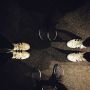 Shoe nerds 
#superstar 
#ultraboost