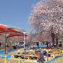 【天平の丘公園】早朝のステージ前はまだイベントの類が開催されていないので閑散としていました しかし朝から出来上がっちゃってるオバちゃん達がｗｗｗｗｗ