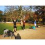 Vroege vogels in het Vondelpark #circuittraining #vondelpark @vitalitien #naarbuiten #herfstzon