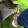 Oot in the pishin rain so the cat can get some fresh air. She's under the brolly while I'm soakin up the Glasgow Summer.