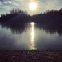 Morning walks like this are magical✨ 
#nature #zen #alwaysonthemove #hike #goodstart #fresh #coldasice #lagebergsebos #rotterdam