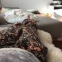 @Nelleke zoiets dacht ik ook al