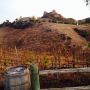Malibu Family Wines 