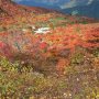 【茶臼岳の紅葉】多くのハイカーさんの目的地となっている姥ヶ平 ピーク時の美しさは格別です 