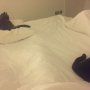 Betty just about coping. No hisses or battering yet...