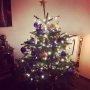 Happy with our Christmastree 🎄#xmasvibes #cozy #homesweethome #lights #christmas #lastweekend