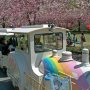 【天平の丘公園の八重桜】撮ってる時は気が付かなかったけど今はまろに☆えーるの旗付けて走ってるんだなｗ 