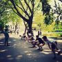 Voor de Crossfit lessen van vandaag doen we de warming up lekker in het park! #crossfit #vondelgym #vondelpark
