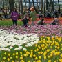 【ひたち海浜公園2016】チューリップの咲く「たまごの森フラワーガーデン」は入場ゲートのほど近くにあります 