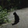 こっちも(´；ω；｀)