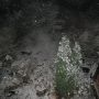 Snow 02:48hrs am 14-01-2013