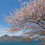 【栃木の桜】5月中旬～下旬に見頃を迎える奥日光・中禅寺湖周辺の桜 GWが終わっても栃木の桜はまだまだ終わらない！