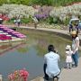 【あしかがフラワーパーク2015】水上花壇を周遊する歩道脇にはお花がいっぱい 園内で一番華やかな場所だったんじゃないかな
