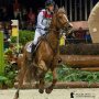 Met trots kan ik zeggen dat op donderdagavond tijdens @IndoorBrabant de #IndoorCross verreden zal worden, met grote toppers aan de start. @merelb_eventing @elaine.pen @_ingridklimke_ #JanVanBeek #FrancoisPons #KarinDonckers #JorisVanSpringel en nog vele meer. Kom de #Dutchies aanmoedigen😃. (Foto met dank aan: @lecavalierbleu )