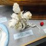 Toilet paper rose sculpture created by female prisoner in Texas penitentiary. 