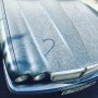 A very very dusty and dirty jaguar gets some love too...