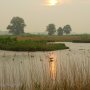 Zwaan in de spotlights.
#vanmorgen #deweerribben #staatsbosbeheer #oldemarkt #zwaan #natuur #lente #regen #opkomendezon.#bewolking #zon #actueel.  #buienradar