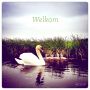 "Welkom"
Een nieuwe lichting.

One photo a day project #032
#Weerribben
.