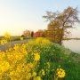 Heerlijke tuur #nature #zonneschijn en #fietsen aan #delinde #slijkenburg #zon #lente #zomer #zomergevoel # #buienradar