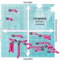 Interessante #livescope waardige infographic uit de Volkskrant: de festivalmatrix 