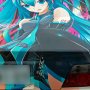 【第11回ひめたま痛車祭】こっちはみっくみくな6代目チェイサー 