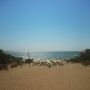 Vamos a La playa

#Ibiza #calatirida