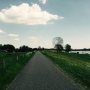 'Volg je dromen, ze weten de weg.'