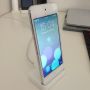 En werkt ook perfect met de iPod touch 5G.
