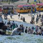 【ひたち海浜公園2017】シーサイドトレイン到着～♫