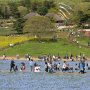【ひたち海浜公園2017】鯉のぼりも泳ぐのどかな風景 落ち着くわ～ 