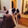 She just hangs out like this 