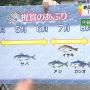 説明うな