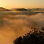 【鎌倉山】茂木の空に陽が昇る #雲海