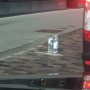 One very hydrated cabdriver at kx 