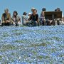 【ひたち海浜公園2016】丘の頂上はオジちゃんオバちゃんでいっぱい おいオッサン、俺の事を指差すんじゃないｗ 